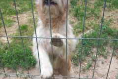 IMG-20250522-WA0006