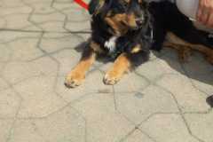 WhatsApp-Bild-2025-06-30-um-08.29.06_8e1176fe