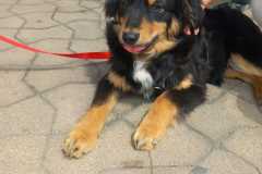WhatsApp-Bild-2025-06-30-um-08.29.06_db7e5d99