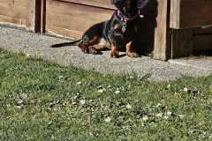 WhatsApp-Bild-2025-06-07-um-10.01.11_f893bef8
