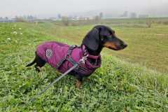 WhatsApp-Bild-2025-06-07-um-10.01.12_1b0a0454