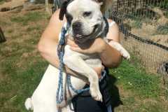 IMG-20250724-WA0021