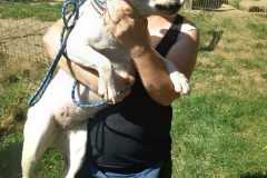IMG-20250724-WA0022