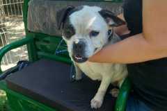 IMG-20250724-WA0023