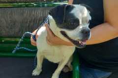 IMG-20250724-WA0024