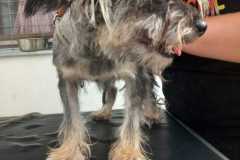 IMG-20250801-WA0029
