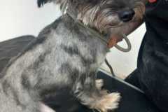 IMG-20250801-WA0030