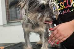 IMG-20250801-WA0031