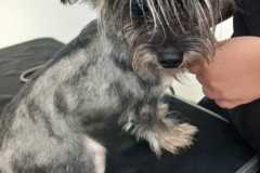 IMG-20250801-WA0033