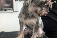 IMG-20250801-WA0034
