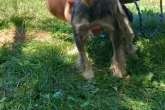 IMG-20250811-WA0002