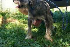 IMG-20250811-WA0003
