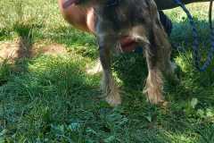 IMG-20250811-WA0004