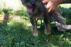 IMG-20250811-WA0005