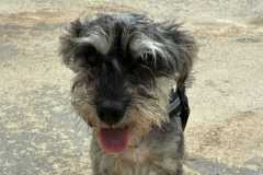 IMG-20250801-WA0018