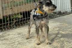 IMG-20250801-WA0022