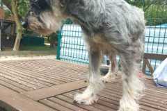 IMG-20250801-WA0023