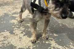 IMG-20250801-WA0024