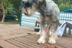 IMG-20250801-WA0026