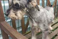 IMG-20250801-WA0027