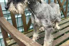 IMG-20250801-WA0028