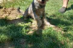 IMG-20250815-WA0010