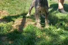 IMG-20250815-WA0011