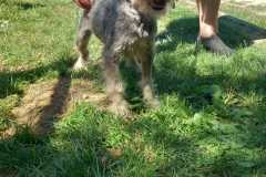 IMG-20250815-WA0012