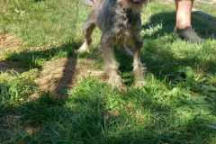 IMG-20250815-WA0013