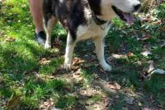 IMG-20250815-WA0025