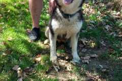IMG-20250815-WA0026