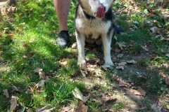 IMG-20250815-WA0027