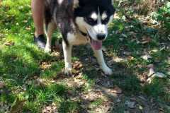 IMG-20250815-WA0028