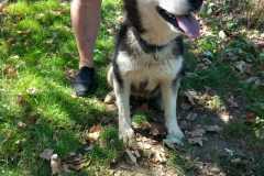 IMG-20250815-WA0029