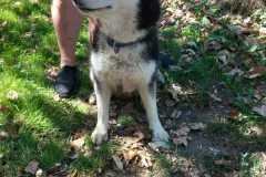 IMG-20250815-WA0031