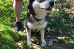IMG-20250815-WA0032