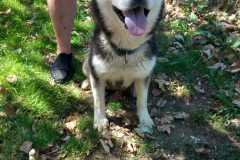 IMG-20250815-WA0034