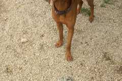 IMG-20250522-WA0015
