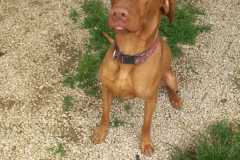 IMG-20250522-WA0020