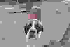 Felhoe2