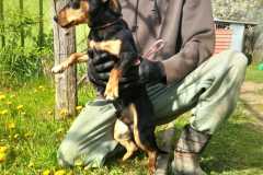IMG-20250414-WA0010