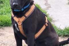 IMG-20250515-WA0031