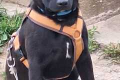 IMG-20250515-WA0032