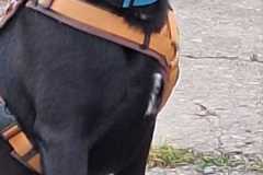 IMG-20250515-WA0033