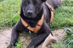 IMG-20250515-WA0034