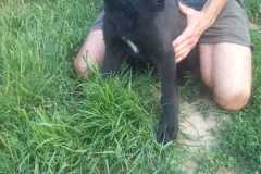 IMG-20250611-WA0055