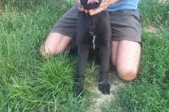 IMG-20250611-WA0059