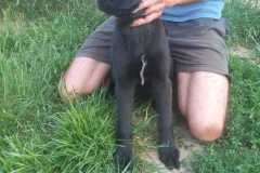 IMG-20250611-WA0061