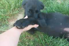 IMG-20250611-WA0062