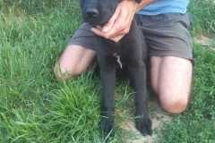 IMG-20250611-WA0063